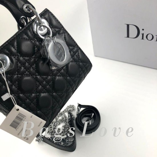 Женская сумка Christian Dior (Кристиан Диор) B105095