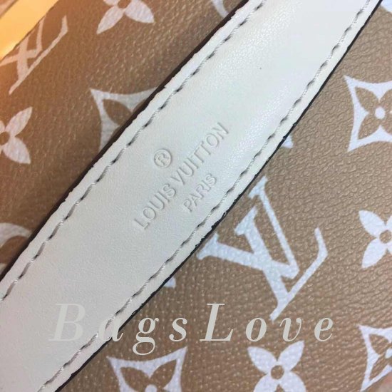 Женская сумка Louis Vuitton (Луи Виттон) B105194