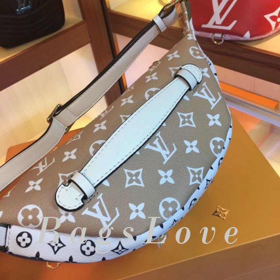 Женская сумка Louis Vuitton (Луи Виттон) B105194