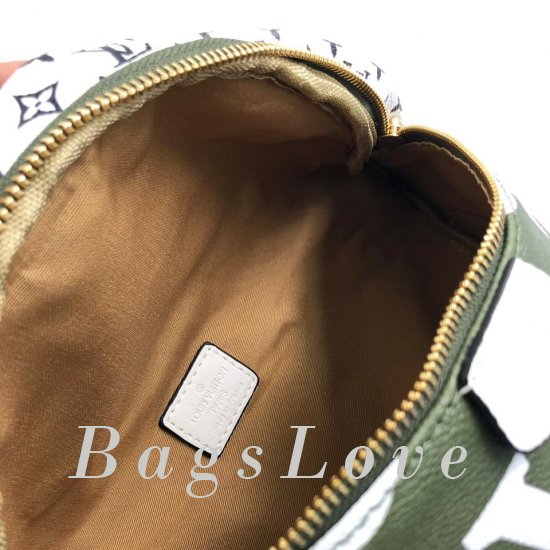 Женская сумка Louis Vuitton (Луи Виттон) B105194