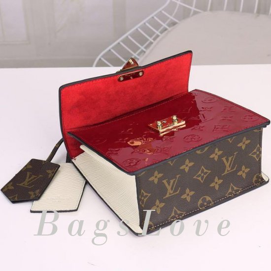 Женская сумка Louis Vuitton (Луи Виттон) B105210