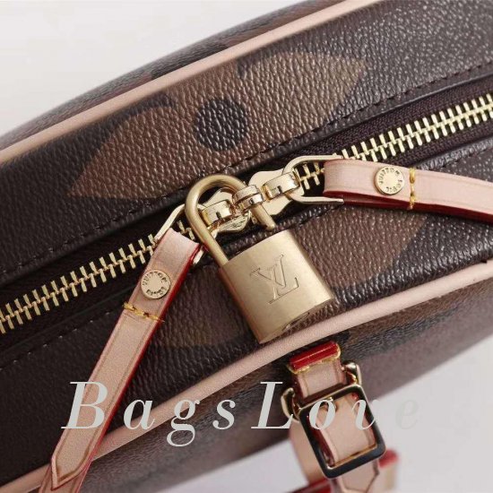 Женская сумка Louis Vuitton (Луи Виттон) B105233