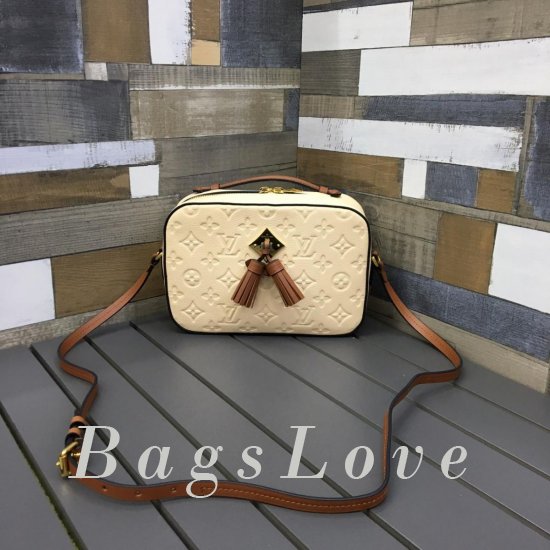 Женская сумка Louis Vuitton (Луи Виттон) BЭ1105263