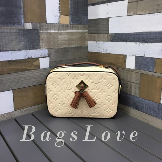 Женская сумка Louis Vuitton (Луи Виттон) BЭ1105263