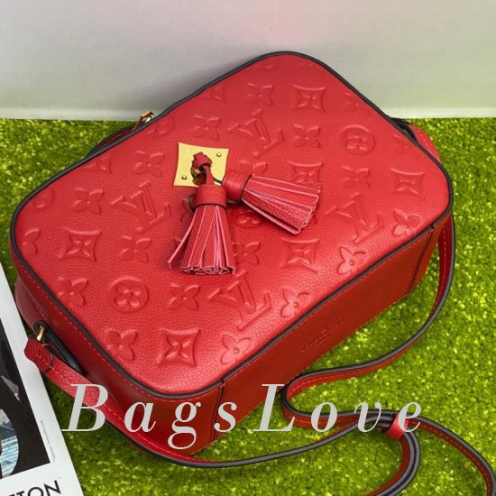 Женская сумка Louis Vuitton (Луи Виттон) BЭ1105264