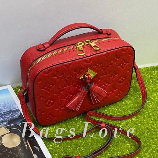 Женская сумка Louis Vuitton (Луи Виттон) BЭ1105264