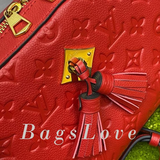 Женская сумка Louis Vuitton (Луи Виттон) BЭ1105264