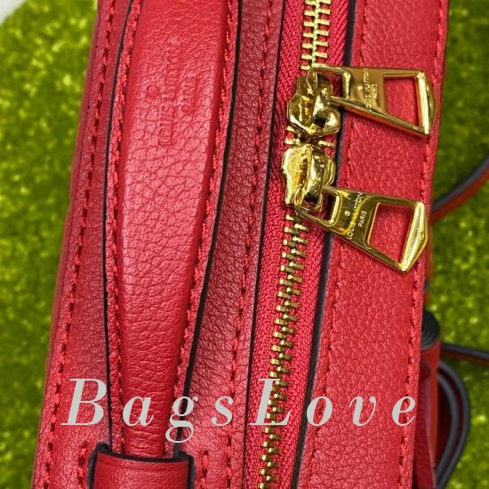 Женская сумка Louis Vuitton (Луи Виттон) BЭ1105264