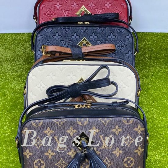 Женская сумка Louis Vuitton (Луи Виттон) BЭ1105264