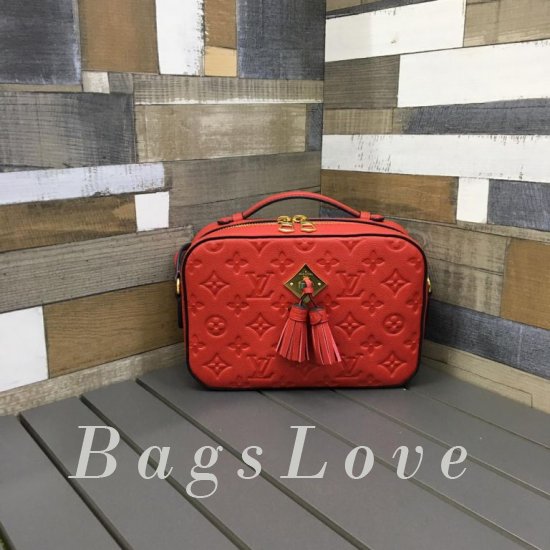 Женская сумка Louis Vuitton (Луи Виттон) BЭ1105264