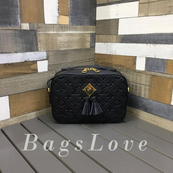 Женская сумка Louis Vuitton (Луи Виттон) BЭ1105265