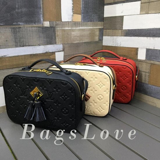 Женская сумка Louis Vuitton (Луи Виттон) BЭ1105265