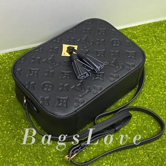 Женская сумка Louis Vuitton (Луи Виттон) BЭ1105265