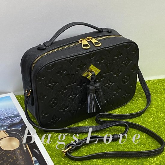 Женская сумка Louis Vuitton (Луи Виттон) BЭ1105265