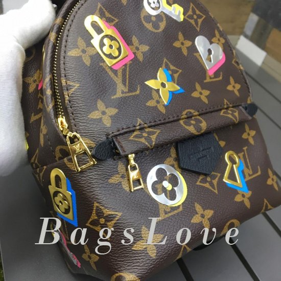 Женский рюкзак Louis Vuitton BЭ1105278