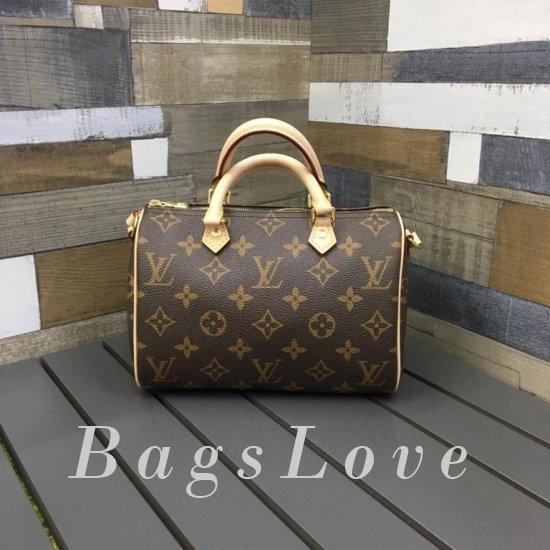 Женская сумка Louis Vuitton (Луи Виттон) BЭ1105279