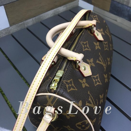 Женская сумка Louis Vuitton (Луи Виттон) BЭ1105279
