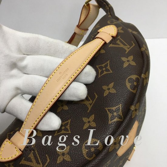 Женская сумка Louis Vuitton (Луи Виттон) BЭ1105292