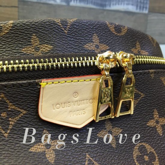 Женская сумка Louis Vuitton (Луи Виттон) BЭ1105292