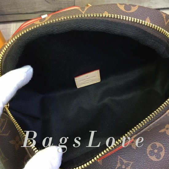Женская сумка Louis Vuitton (Луи Виттон) BЭ1105292