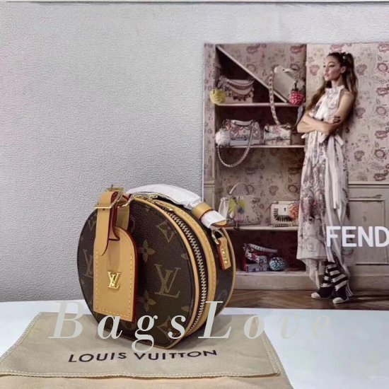 Женская сумка Louis Vuitton (Луи Виттон) B105240