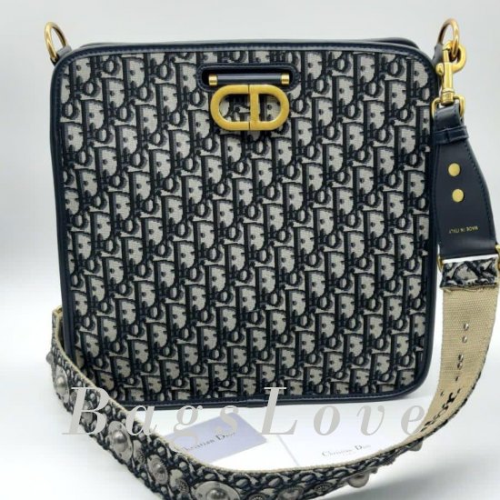 Женская сумка Christian Dior (Кристиан Диор) B105329