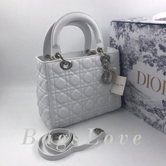 Женская сумка Christian Dior (Кристиан Диор) B105376