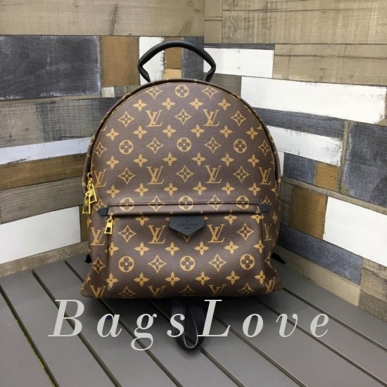 Женский рюкзак Louis Vuitton BЭ1105383