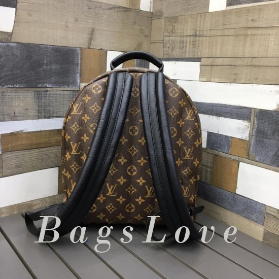 Женский рюкзак Louis Vuitton BЭ1105383
