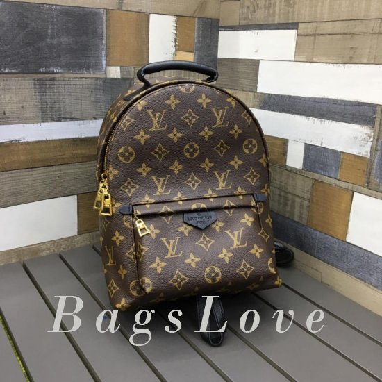 Женский рюкзак Louis Vuitton BЭ1105384