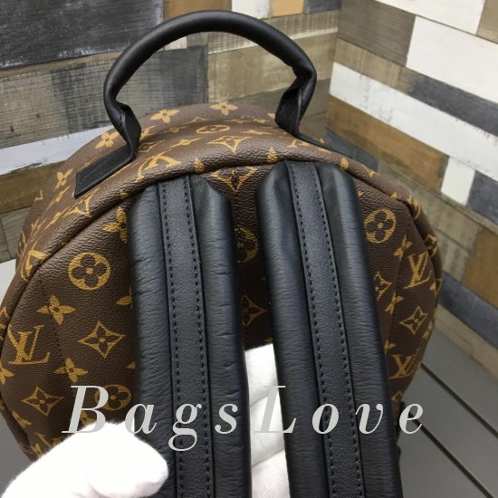 Женский рюкзак Louis Vuitton BЭ1105384