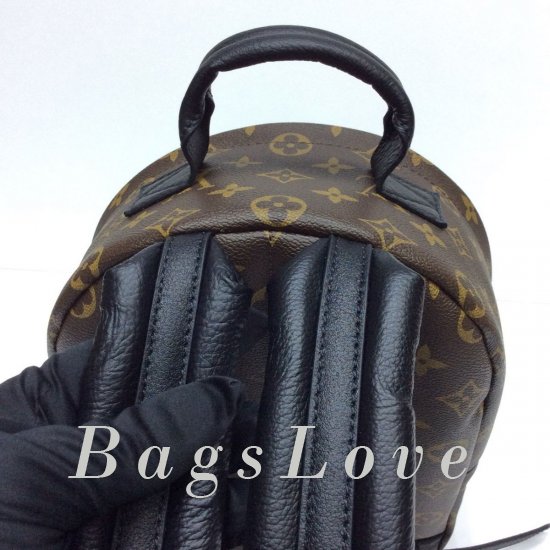 Женский рюкзак Louis Vuitton BЭ1105385
