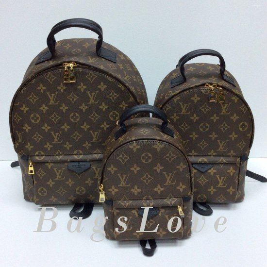 Женский рюкзак Louis Vuitton BЭ1105385