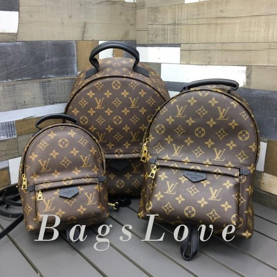 Женский рюкзак Louis Vuitton BЭ1105385