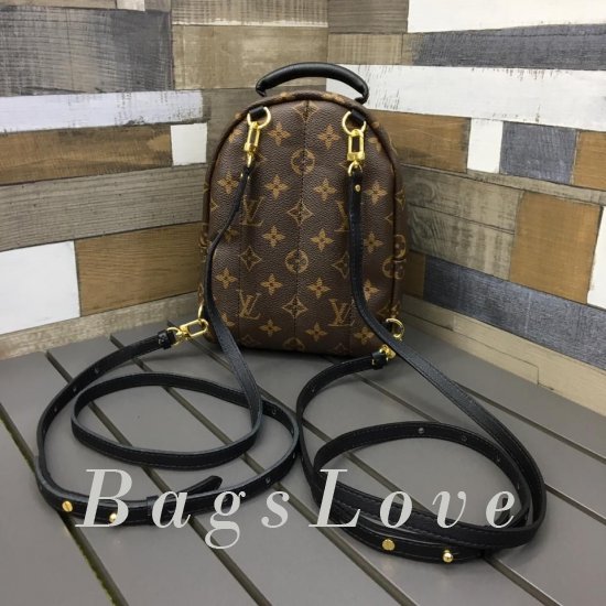 Женский рюкзак Louis Vuitton BЭ1105385