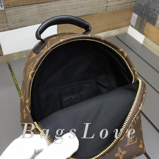 Женский рюкзак Louis Vuitton BЭ1105385