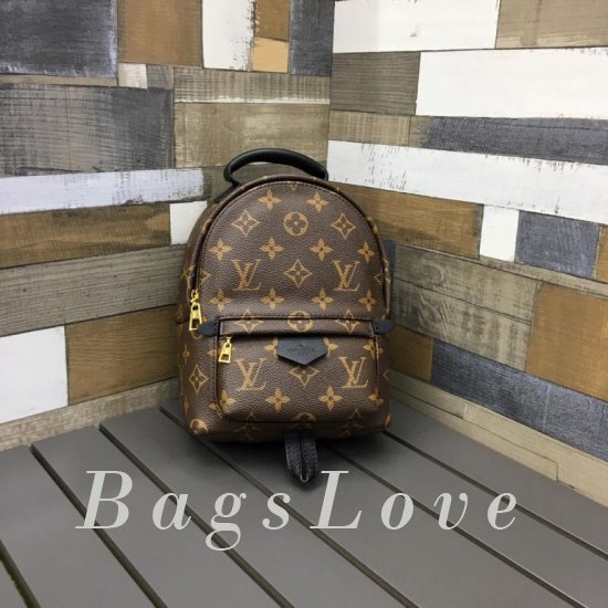 Женский рюкзак Louis Vuitton BЭ1105385