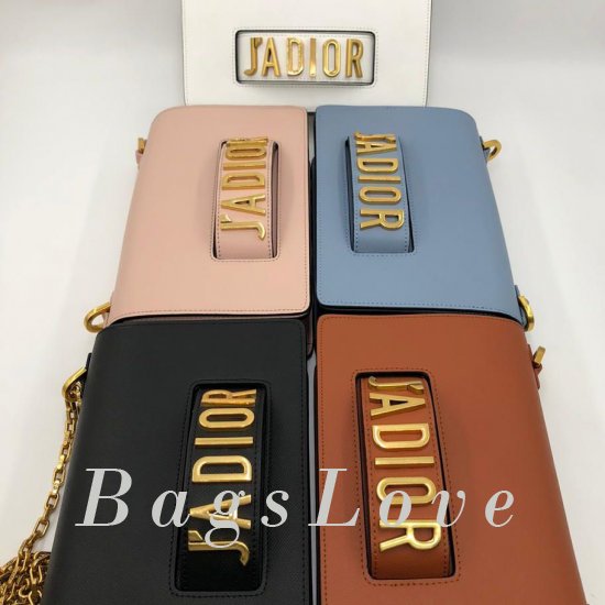 Женская сумка Christian Dior (Кристиан Диор) B105404