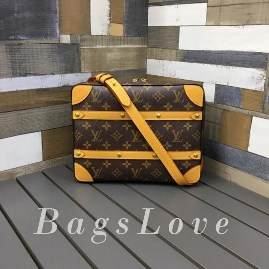 Женская сумка Louis Vuitton (Луи Виттон) BЭ1105438