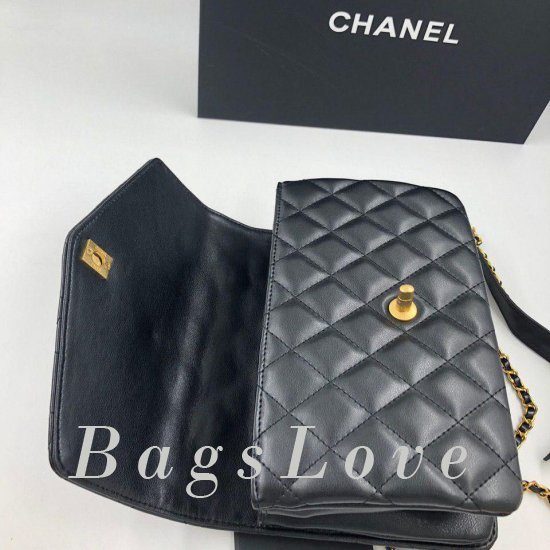 Женская сумка Chanel (Шанель) B105558