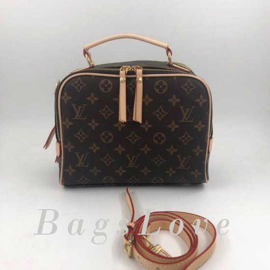 Женская сумка Louis Vuitton (Луи Виттон) B105570