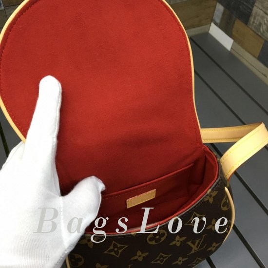 Женская сумка Louis Vuitton (Луи Виттон) BЭ1105447