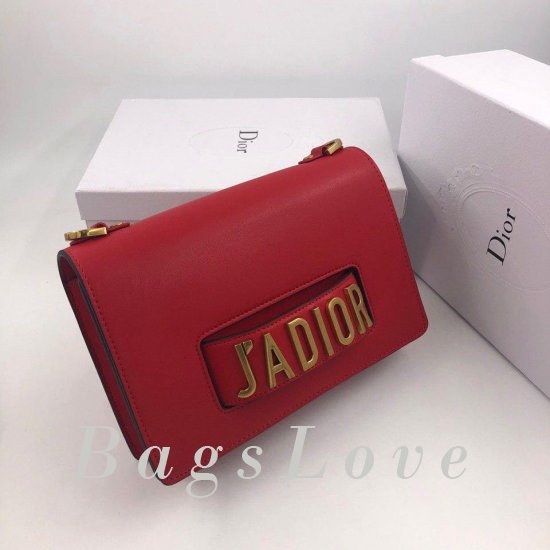 Женская сумка Christian Dior (Кристиан Диор) B105574