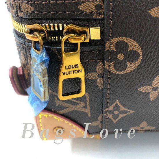 Женский рюкзак Louis Vuitton B105580