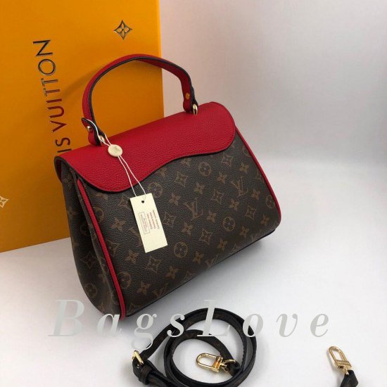 Женская сумка Louis Vuitton (Луи Виттон) B105640