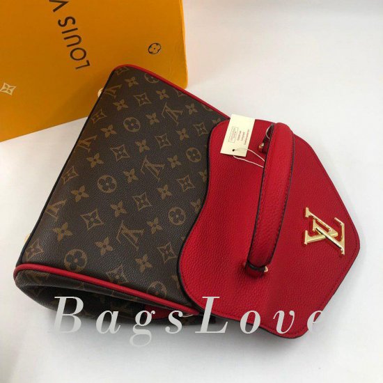 Женская сумка Louis Vuitton (Луи Виттон) B105640