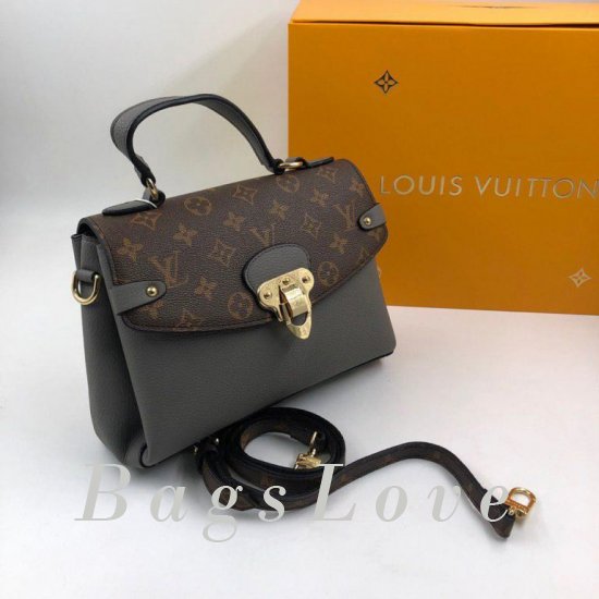 Женская сумка Louis Vuitton (Луи Виттон) B105648