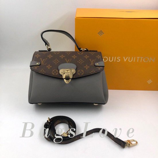 Женская сумка Louis Vuitton (Луи Виттон) B105648
