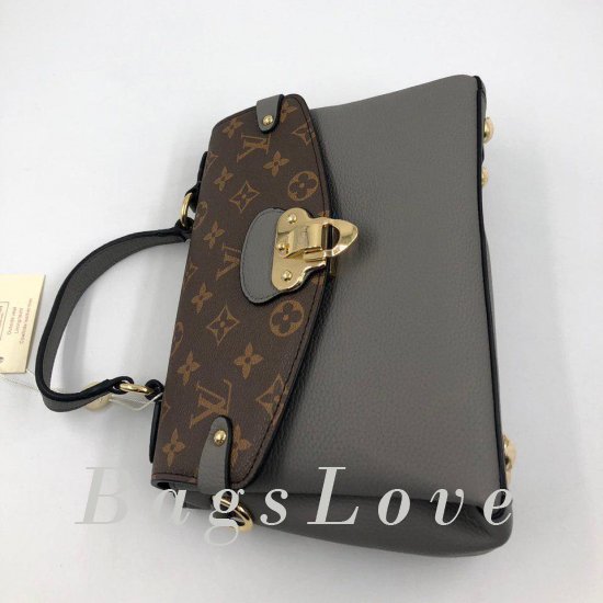 Женская сумка Louis Vuitton (Луи Виттон) B105648