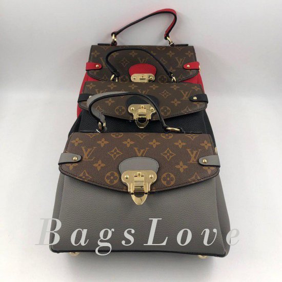 Женская сумка Louis Vuitton (Луи Виттон) B105648